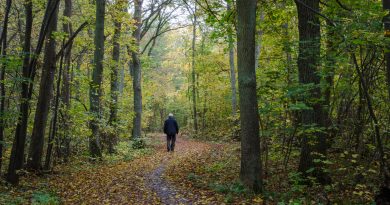 Turning points can affect your pension Turning points can affect your pension